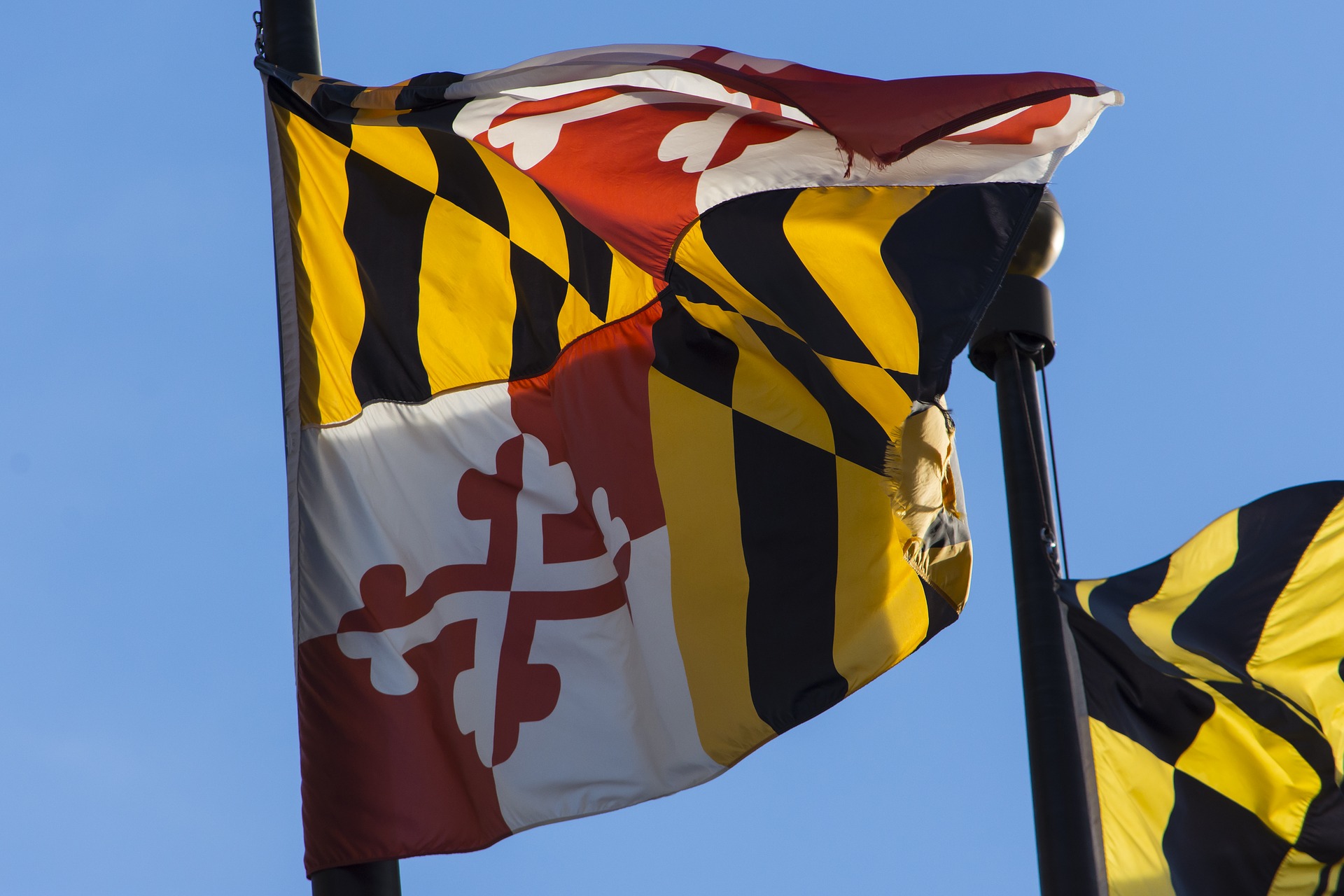 Maryland Senate clears sports betting bill in landslide ...